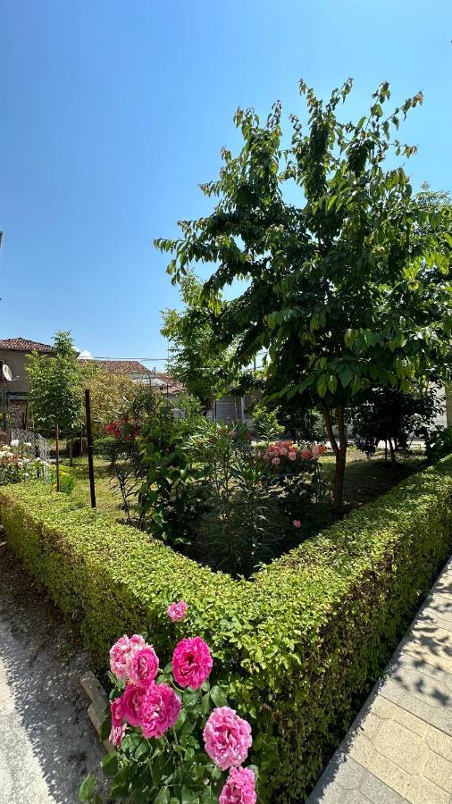 Apartament Js House Shkoder 2 Zewnętrze zdjęcie